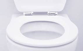 Toilet Seat Covers