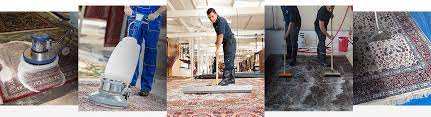 green carpet clean rug cleaning boston