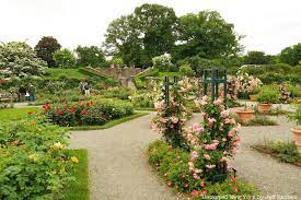 6 Beautiful Botanical Gardens To Visit