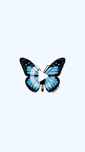 See more ideas about aesthetic iphone wallpaper, iphone background wallpaper, cute patterns wallpaper. Light Blue Butterfly Blue Butterfly Butterfly Drawing Wallpaper Backgrounds