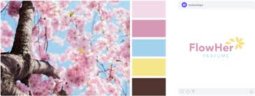 This color combination was created by user akshit. 12 Spring Color Palettes To Brighten Your Mood Looka