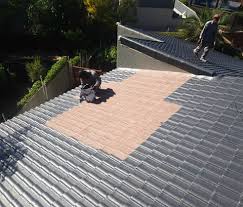 Professional House Roof Painting