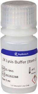 2x lysis buffer item j kit raybiotech