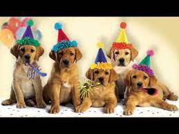 I admire the time you spend with it, your care, love, the walks you take, and more. Cute Dogs Bark The Happy Birthday Song Youtube