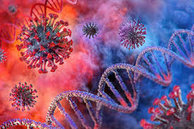 Κορονοϊός έρευνα: Ο ιός μπορεί να κρύβεται στα ανθρώπινα χρωμοσώματα |  Flash.gr