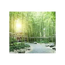 Panoramic Wall Poster Green Bamboo In