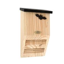 produits chauve souris vivara pour un