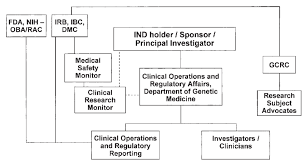 Clinical Organizational Chart For The Lincl Study Bb Ind