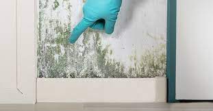 Symptoms Of Mold Exposure In House And