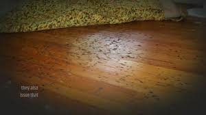 black stains from hardwood floors