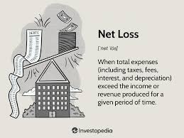 net loss definition formula and exles