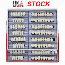 Denture Teeths Products For Sale Ebay