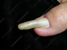 pincer nails stock image c056 4974