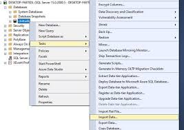 to import excel data into sql server 2019