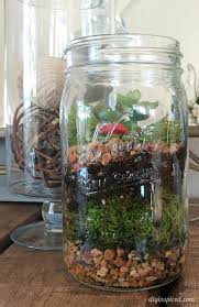 Diy Mason Jar Terrarium With Succulents