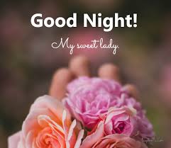 I'll talk to you in the morning; 120 Sweet Good Night Messages For Her To Make Her Smile Explorepic