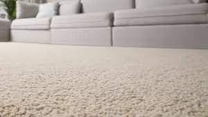 best 15 carpet cleaners in bryan tx