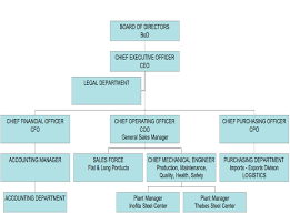 Profisol S A Organizational Chart