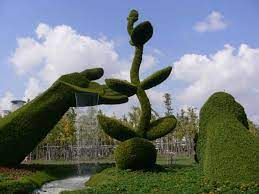 Funny And Amazine Gardening | Topiary garden, Topiary plants, Amazing  gardens