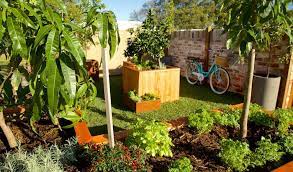 Small Garden Design Ideas Perth