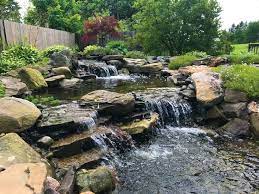 Water Feature Wonders Garden Center