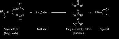 Synthesis Of Biodiesel