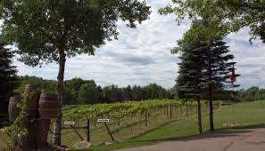 As far as food is concerned, it is convenient to get to the nearest supermarket by walking from most properties for rent in saint paul. New Minnesota Winery Event Space Wild Oaks Ranch Vineyard Winery In Lakeville Mn Zazafia