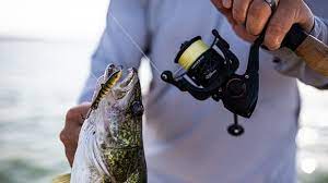 The Best Fishing Reel Brands For Every