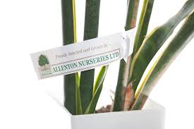 nursery labels plant s kiwi labels