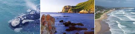 Garden Route South Africa Guide