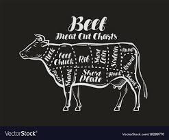 Meat Cut Charts Cow Beef Concept Menu