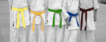 El Blog del Dojo: Los Grados en el Karate