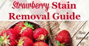 how to remove blueberry stains