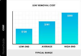 2019 Leaf Removal Costs Yard Clean Up Costs Fall Spring