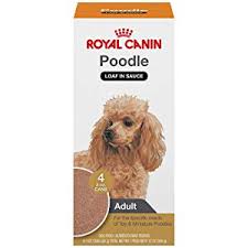 Top 5 Best Dog Foods For Toy Miniature And Standard Poodles