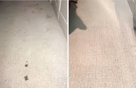 professional carpet cleaning in summit