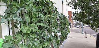 The Many Benefits Of Living Walls
