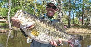 Located in a residential area of louisville a mere 15 minutes from the heart of boulder, the lake offers perch, rainbow trout, and largemouth bass. Great Bass Fishing Lakes Near Me Off 61 Medpharmres Com