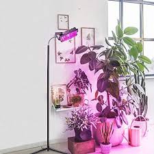 Most led growing lights offer both types of color spectrum lighting, so you can get all the benefits. The 18 Best Grow Lights For Your Plants
