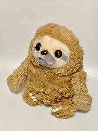 adorable baby sloth soft toy hobbies