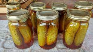 kosher dill pickles recipe