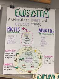 Ecosystem Anchor Chart Fourth Grade Science Science