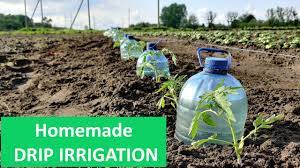 the easiest drip irrigation diy in a