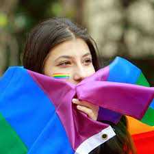 المثليات والمثليون ومزدوجو الميل الجنسي ومغايرو الهوية الجنسانية وحاملو  صفات الجنسين | OHCHR