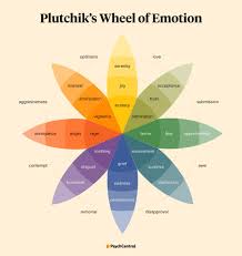 emotion wheel what it is and how to use it