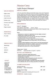 Sr  Project Manager  Managment Resume Sample clinicalneuropsychology us