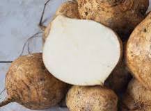 Is jicama the same as turnip?