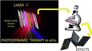 the potential of photodynamic therapy