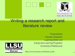 WHAT WE HAVE COMPLETED Problem Definition Literature Review