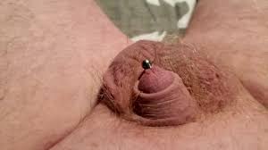 Pierced Penis Porn Videos | Pornhub.com